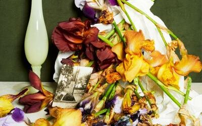 Sous les cendres de l’histoire – Exposition de photographies