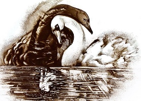 LAC DES CYGNES – Concert-spectacle